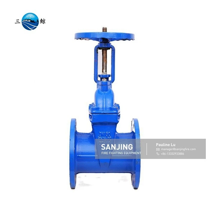 Industrial rising stem gate valve (2)